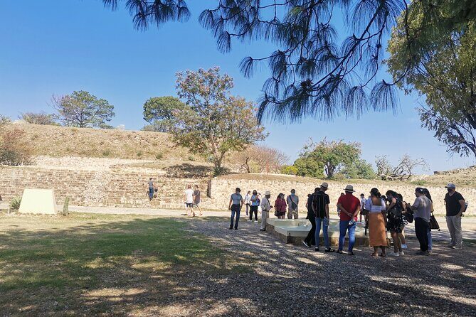 Monte Alban Only - Half Day Guided Tour - Oaxaca - Transportation and Timing