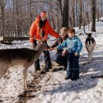 Montebello, QC: General Admission to Parc Omega - The Experience from Visitors Perspectives