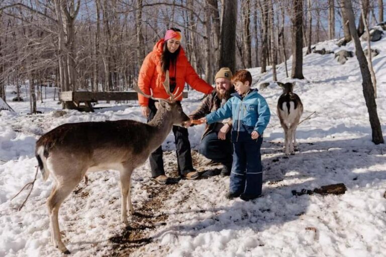 Montebello, QC: General Admission to Parc Omega - The Experience from Visitors Perspectives
