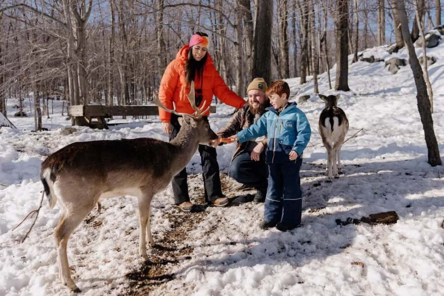 Montebello, QC: General Admission to Parc Omega - The Experience from Visitors Perspectives