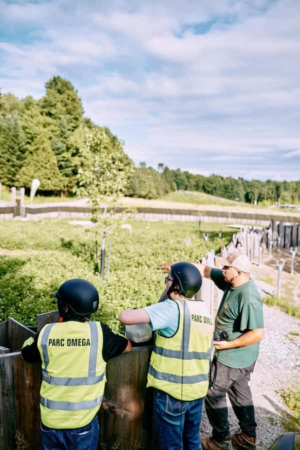 Montebello, QC: Parc Omega Guided Animal Feeding in an All-Terrain Vehicle - The Practical Side: Logistics and Details