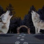 Montebello, QC: Parc Omega ONIRO Immersive Experience at Night - What You Can Expect from the ONIRO Experience