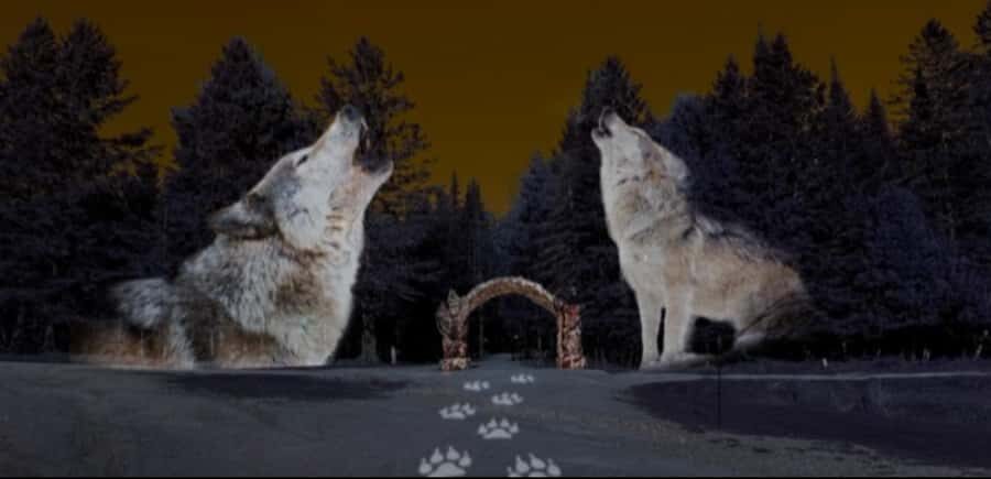 Montebello, QC: Parc Omega ONIRO Immersive Experience at Night - What You Can Expect from the ONIRO Experience