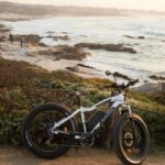 Monterey: 17-Mile Drive Guided E-Bike Tour - What to Expect on the Tour