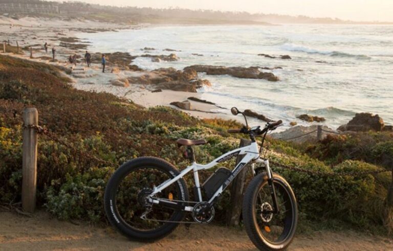 Monterey: 17-Mile Drive Guided E-Bike Tour - What to Expect on the Tour