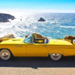 Monterey & Big Sur: 1955 Ford Thunderbird Convertible Rental - Final Thoughts: Who Will Love This Experience?