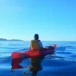 Monterey: Pebble Beach Kayak Tour - The Sum Up