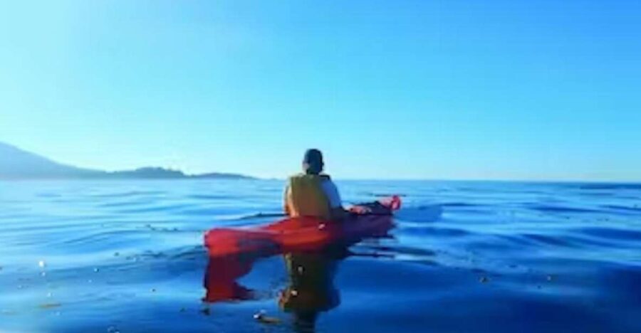 Monterey: Pebble Beach Kayak Tour - The Sum Up