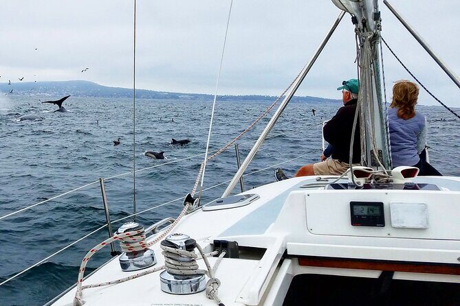 Monterey Private 3 - 4 Hour Whale Watching Cruise - FAQ