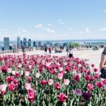 Montreal: 3-Hour Private Car Tour with Expert & Free Pick up - Final Thoughts