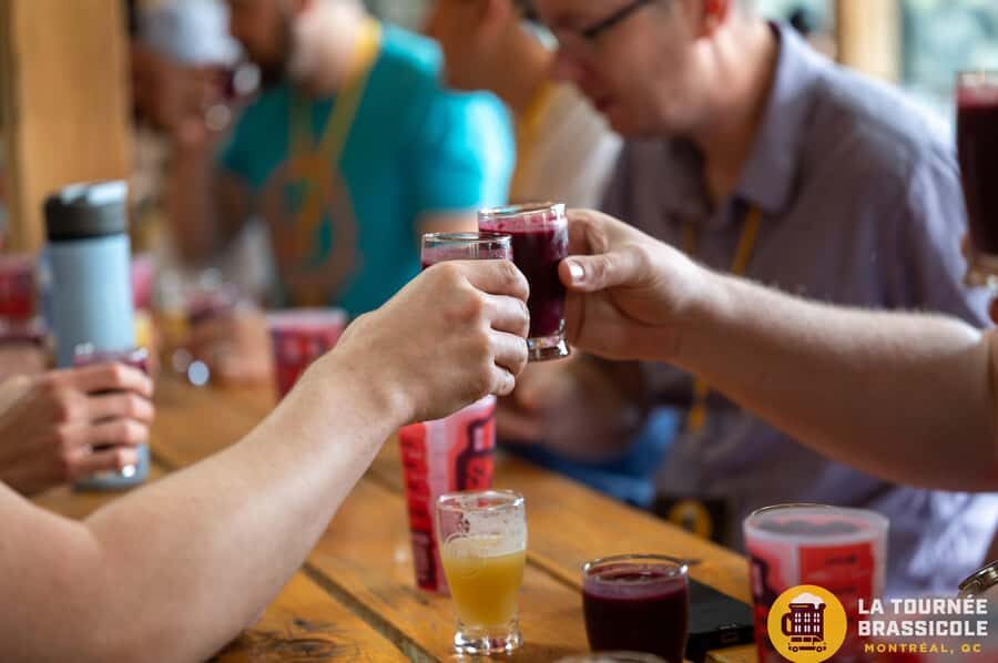 Montreal: Craft Beer Tour with Tastings and Snack - Who Will Love This Tour?