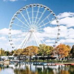 Montreal : Downtown & Underground Walking Tour with a Guide - Who Will Enjoy This Tour?