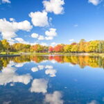 Montreal: Guided Bus Tour - The Experience: Why Travelers Love It