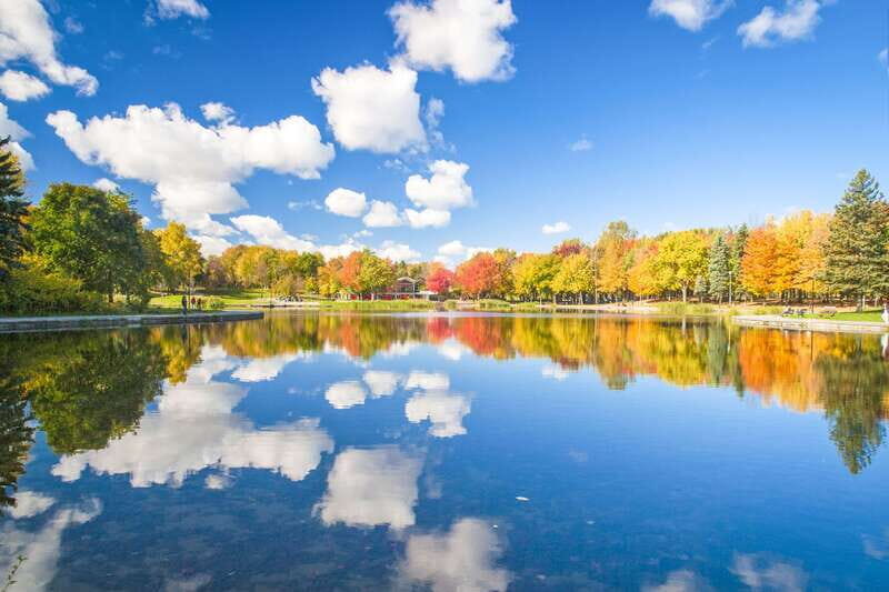 Montreal: Guided Bus Tour - The Experience: Why Travelers Love It