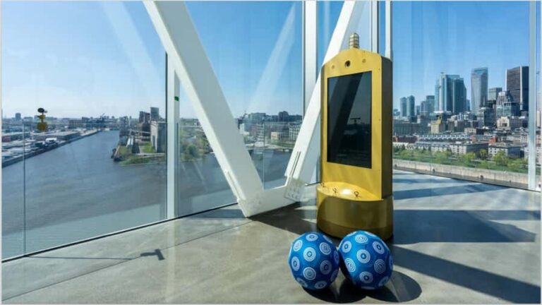 Montreal: Port of Montreal Tower Entry & Cruise Combo - Pricing and Value