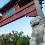 Montreal Red Light District and Chinatown Tour - Practical Details and Logistics