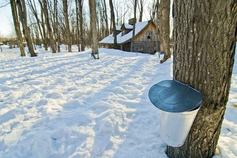 Montreal: Sugar Shack Maple Syrup Day Trip with Lunch - Balancing Value and Authenticity