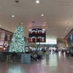 Montreal: Underground, Outside, and Panorama Walking Tour - Transport, Timing, and Value