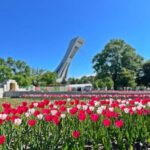 Montreal: Walking Tour 2h Downtown, RESO and Old Montreal - Practical Details and Considerations