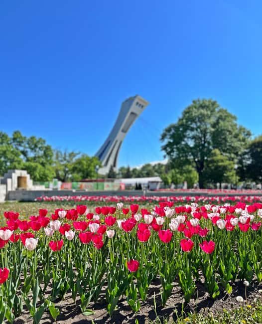 Montreal: Walking Tour 2h Downtown, RESO and Old Montreal - Practical Details and Considerations