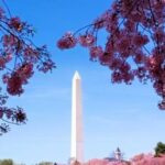 Moonlight Tour 3 Hour - Who Will Love This Tour?