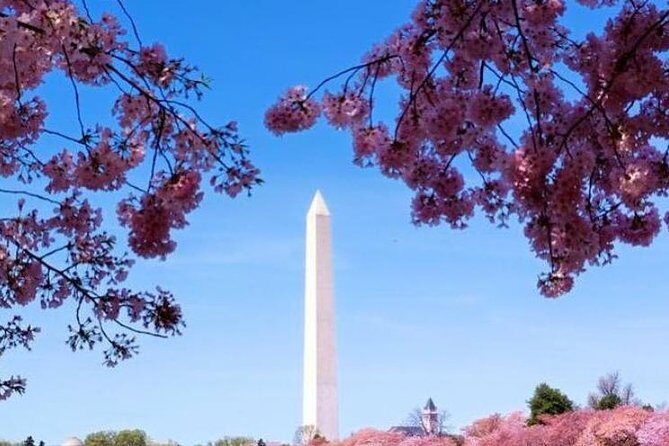 Moonlight Tour 3 Hour - Who Will Love This Tour?