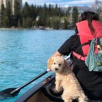 Moraine Lake Shuttle Bus with a Stop in Lake Louise - Why This Tour Offers Great Value