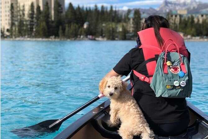 Moraine Lake Sightseeing from Lake Louise Village Samson Mall - Why Choose This Shuttle Experience?