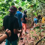 Morning or Afternoon Palehua Ridge Hike - The Experience: What to Expect from the Palehua Ridge Hike