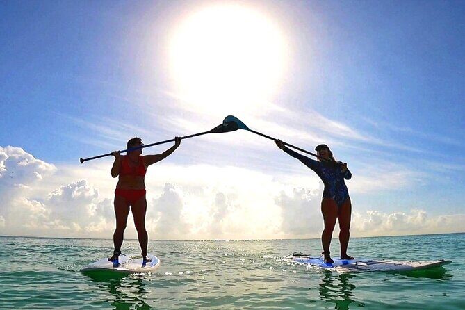 Morning Session - All Levels Paddleboard Group Caribbean Sea - What to Expect During the Tour