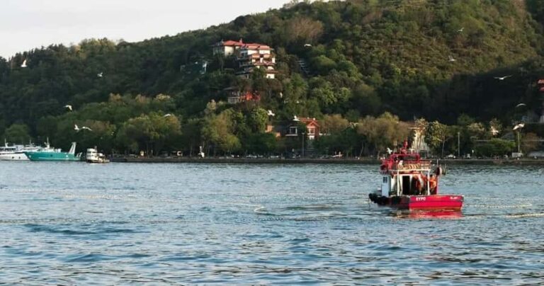 Morro Bay: Pontoon Boat Rental with Wildlife Watching - Practical Tips for Your Trip