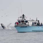 Morro Bay: Whale Watching Adventure - Why This Tour Might Be Perfect for You