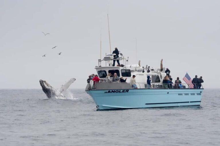 Morro Bay: Whale Watching Adventure - Why This Tour Might Be Perfect for You