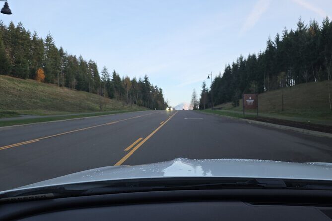 Mount Rainier Photo Tour with Private Sprinter Transport - Practical Details and Considerations