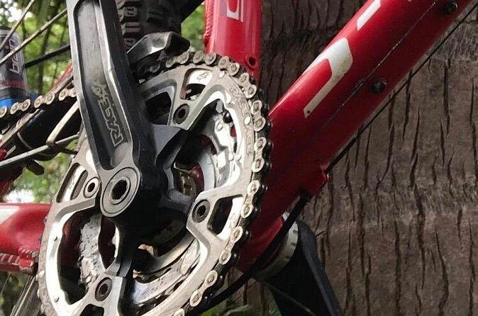 Mountain Bike Tours - What to Expect During the Ride