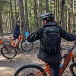 Mountain Breeze Tour - Mountain E Bike - Whistler Marmot Activity - Exploring the Whistler Mountain Breeze E-Bike Tour