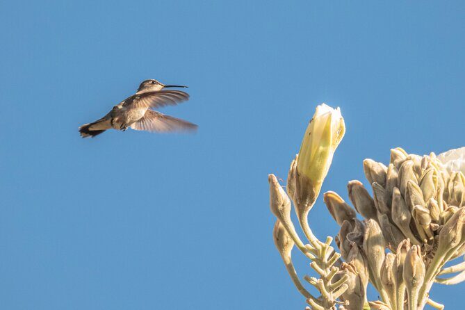 Mountain Hike & Rituals - The Scenery and Nature