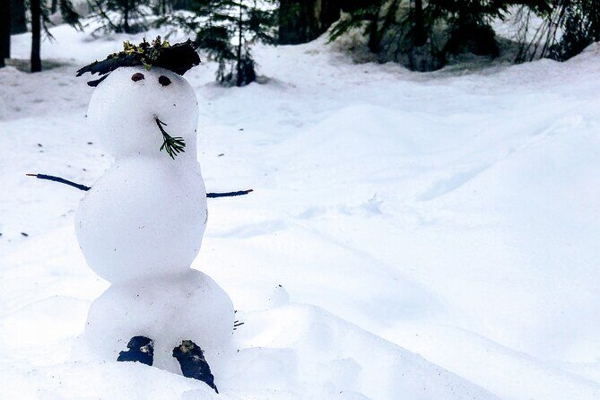 Mountain Snowshoeing & Photography - What’s Included and How It Works