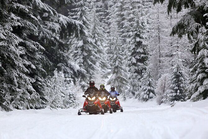Mt Hood National Forest - 90 Minute Snowmobile Adventure - Who Will Love This Tour?