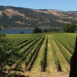 Mt Hood, Waterfalls, and Wine Tour with Tasting Fees Included - Authentic Insights from Past Travelers