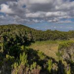 Mt Kilimanjaro Hiking via Marangu Route Day Trip - Final Thoughts