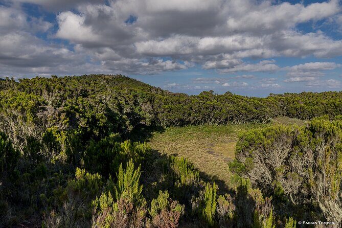 Mt Kilimanjaro Hiking via Marangu Route Day Trip - Final Thoughts