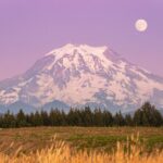 Mt. Rainier tour with Gandola ride at Sunrise and Paradise - The Value of This Tour