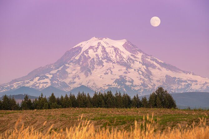 Mt. Rainier tour with Gandola ride at Sunrise and Paradise - The Value of This Tour