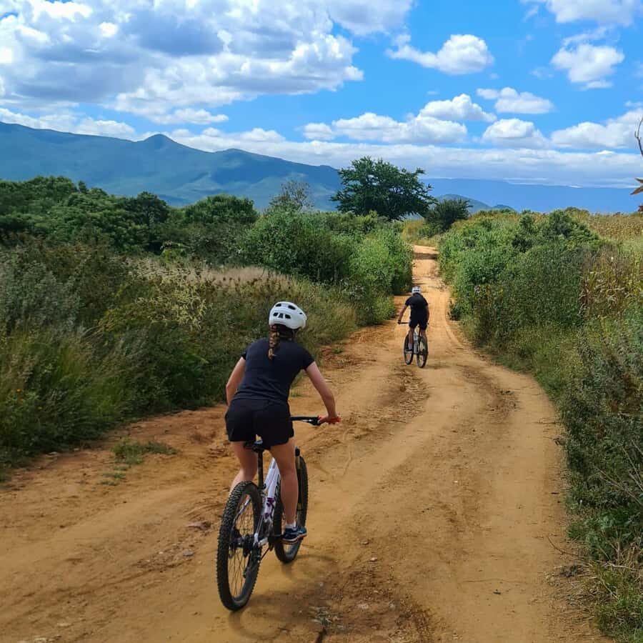 MTB Bike tour to the Monkey Tree + Bread Maker & Tule tree - Why This Tour Works Well