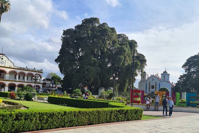 MTB Bike Tour: Tree of the Tule on mountain trails - Logistics and Practicalities