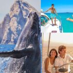 Multimillion Yacht Cabo Cruise Sunset or Snorkel Optional PICKUP! - The Real Value for Travelers