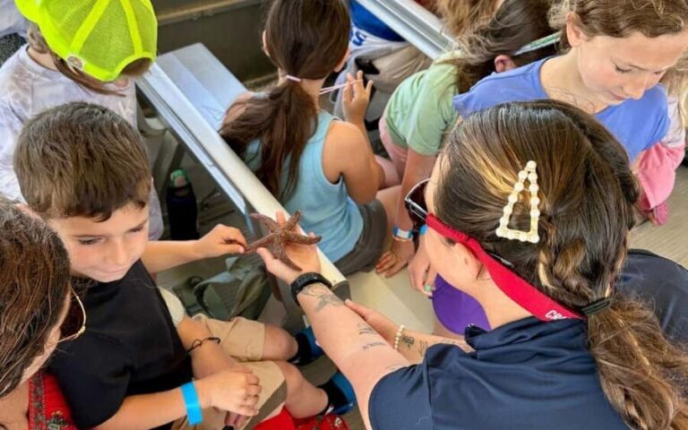 Murrells Inlet: Saltwater Marsh Eco Tour w/ Marine Biologist - Pricing and Value: What’s Included?