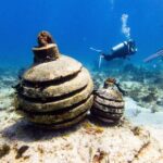 MUSA Museum and Colorful Reef 2 Tank Dive-Certified Divers - What to Expect on the Tour