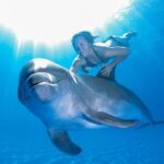 Must-DO The only and Unique Natural Space Dolphin Encounter Cabo - FAQs